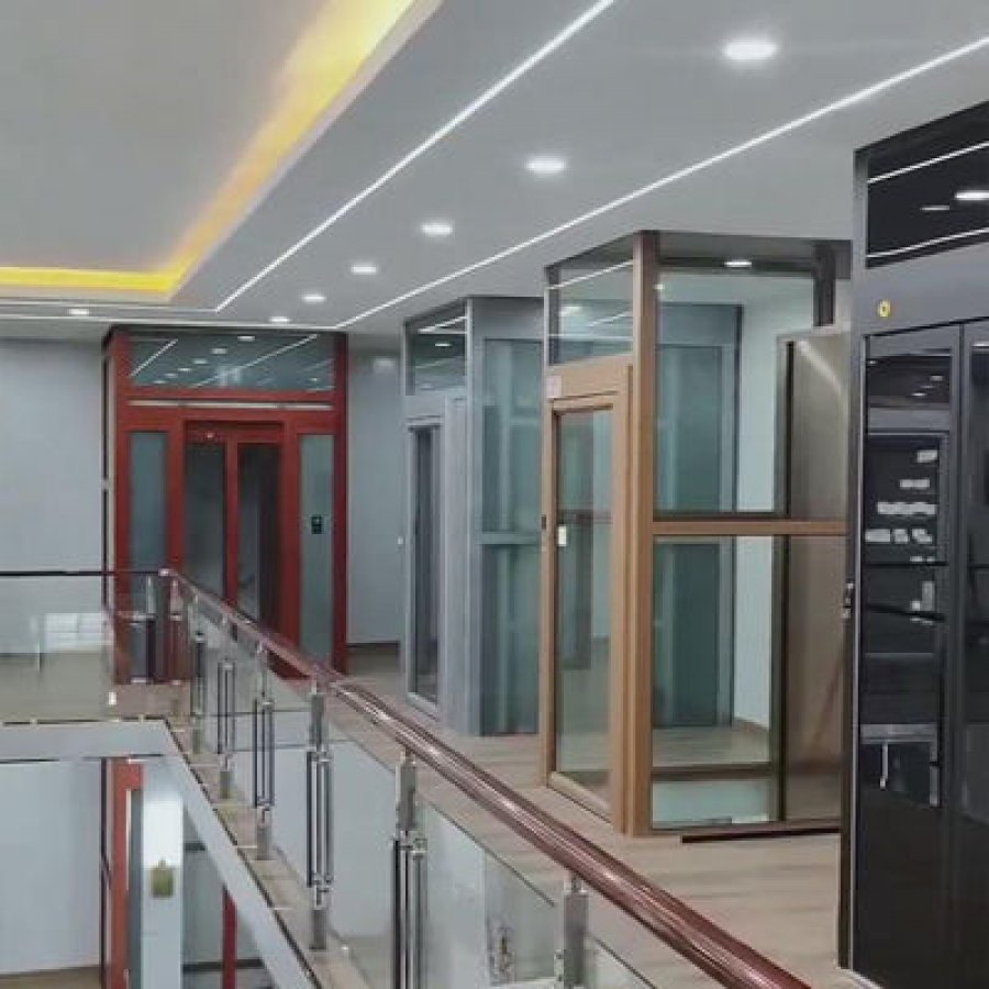 Customizable Traction Home Elevator | Sleek Aluminium & Steel Design