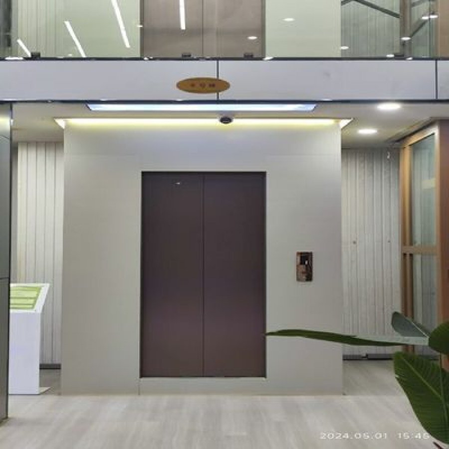 Panoramic Aluminium Frame Home Elevator | 1000–5000 kg Hydraulic