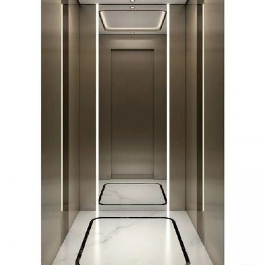 Residential Hydraulic Elevator – 220 V, 5 Stops, Pitless Design